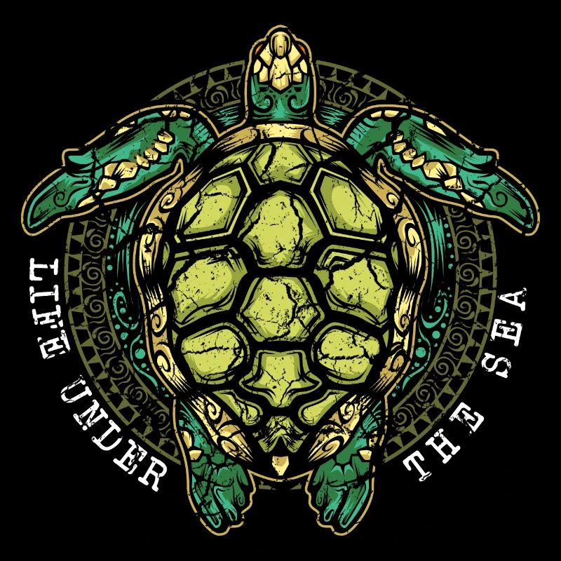 Turtle turtles