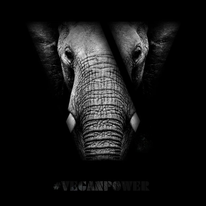#VeganPower - Elefant