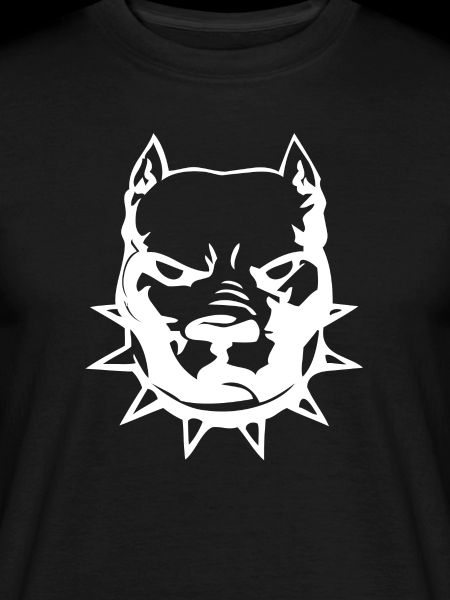 Pittbull head