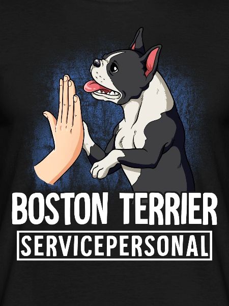 Boston Terrier