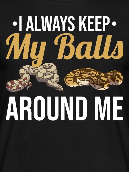 Funny Ball Python Snake
