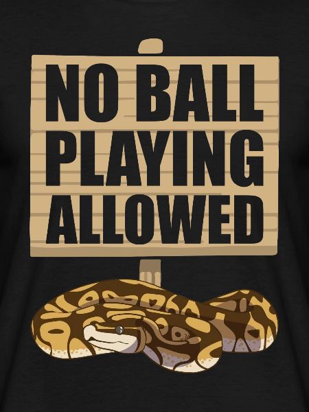 Funny Ball Python Snake