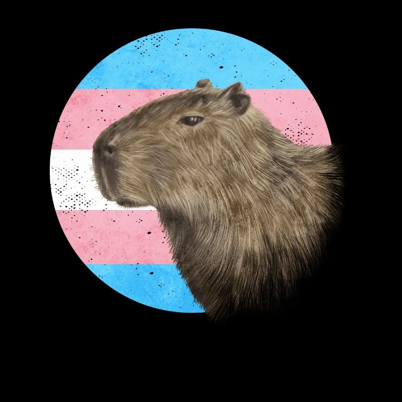 Fierté transgenre Drapeau trans Capybara Sublte LGB