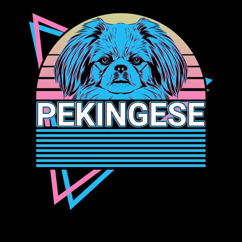Pékinois Rétro