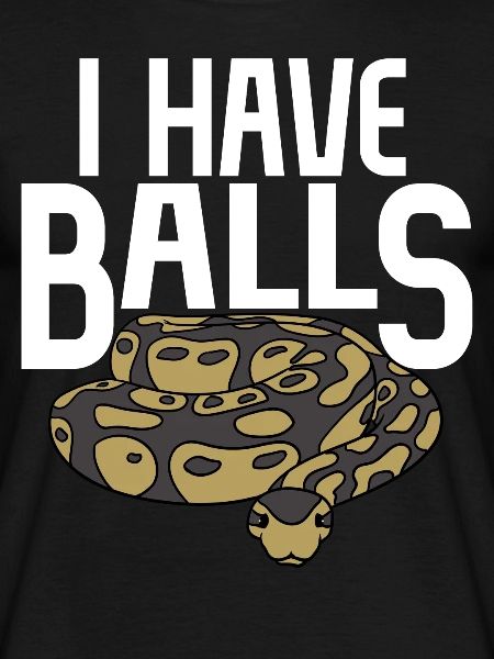 Ball python snake