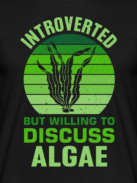 Algues