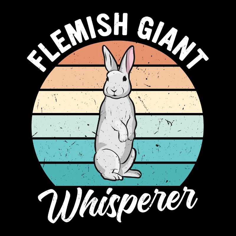 Flemish Giant Rabbit Rabbit Rabbit