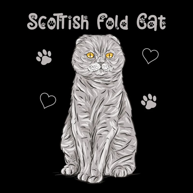 Scottish Folding Ear Cat Scottish Fold Gift