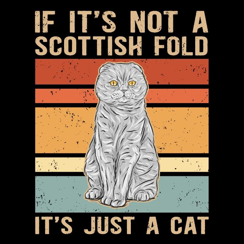 Scottish folding ear cat | Scottish Fold Gift