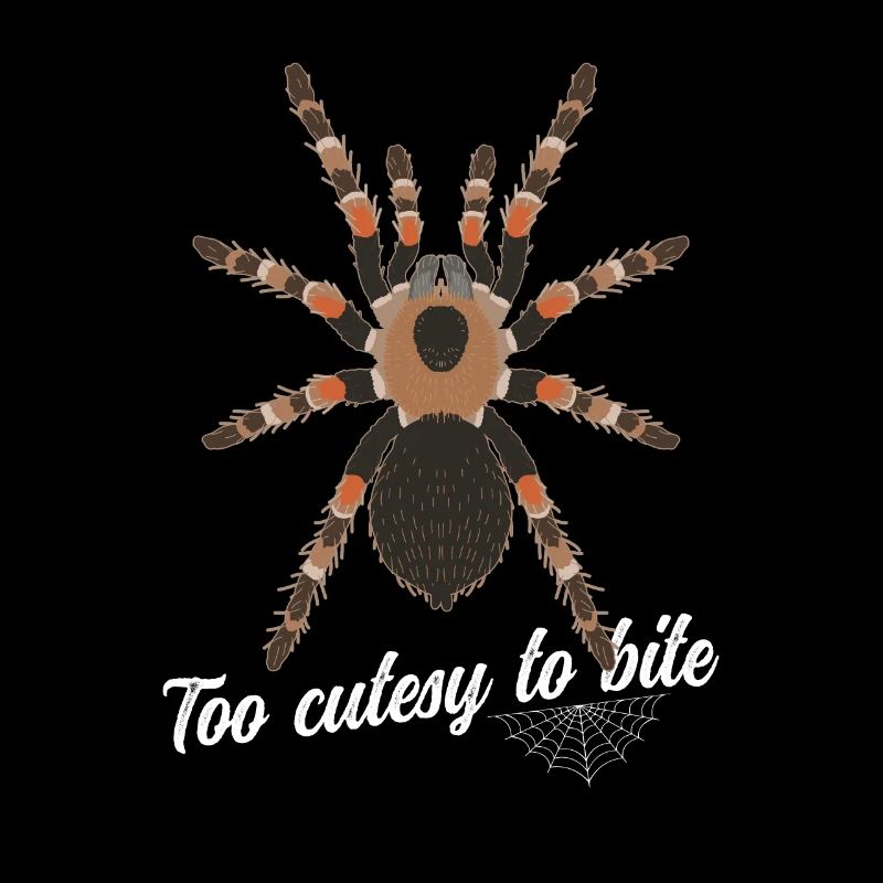 Tarantula Spider Tarantula Tarantula Tarantula Gift
