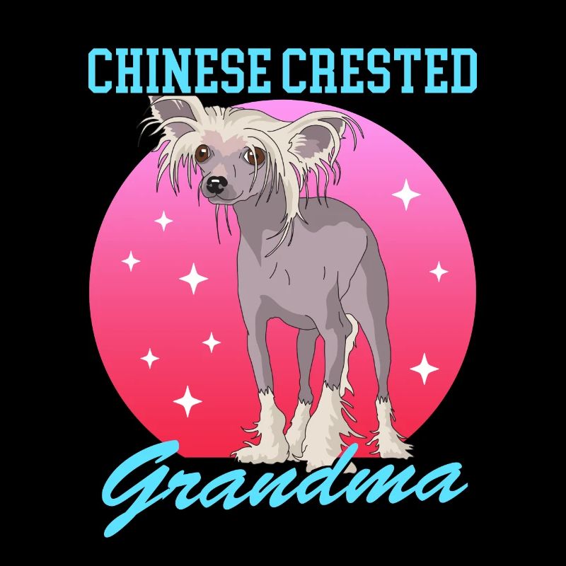 Chinese Crested Granny | Chinese Crested Dog