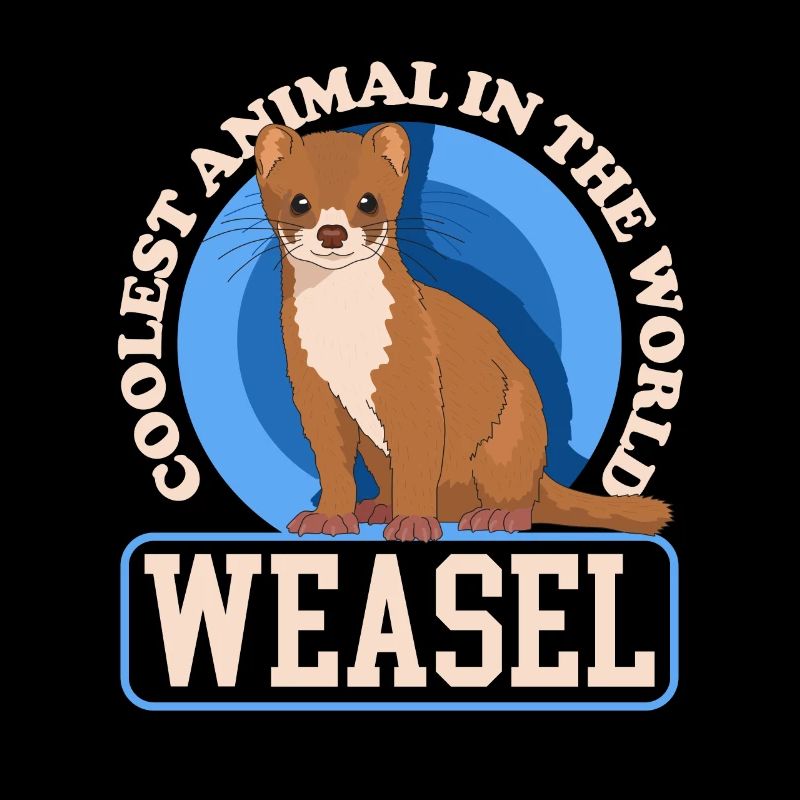 Weasel Mouse Weasel Hermännchen Gift