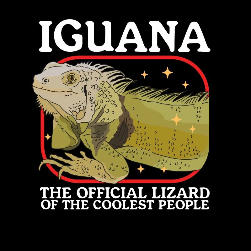 Iguana Lizard Reptile Iguanas Gift