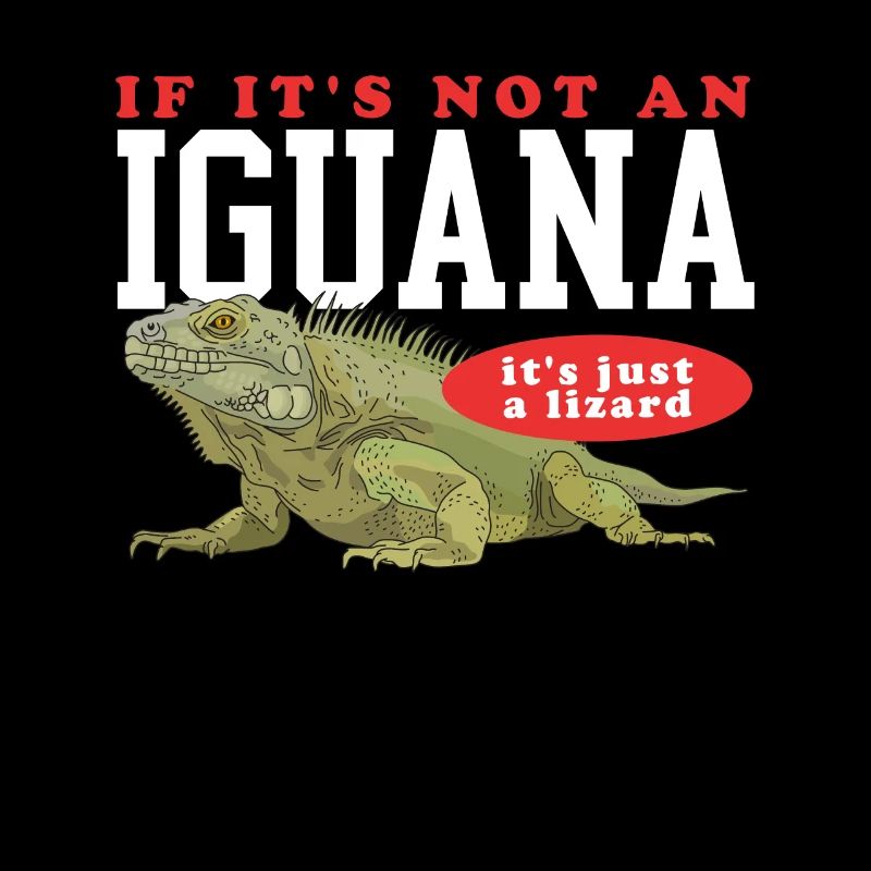Iguana Reptile Iguanas Lizard Gift