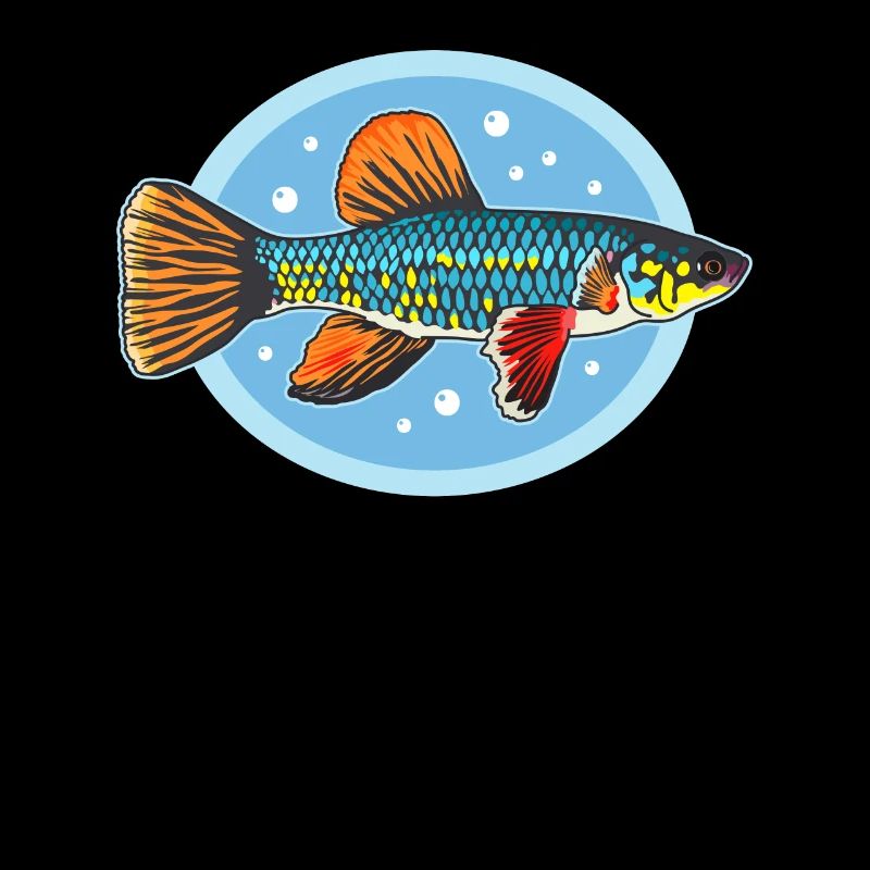 Killifish Eierlegende Zahnkarpfen Fische Geschenke