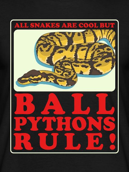 Königspython Python Schlange Geschenk
