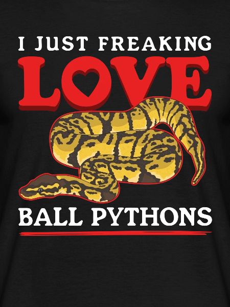 Königspython Schlangen Python Geschenke
