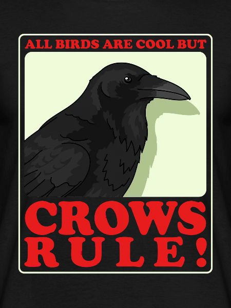 Crows Ravens Birds Gift