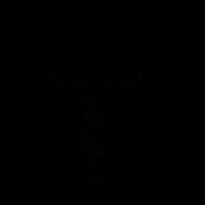 Dirigent