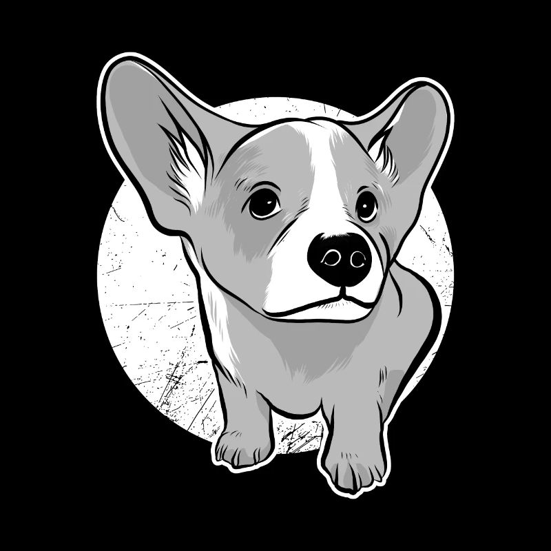 Corgi Welpe