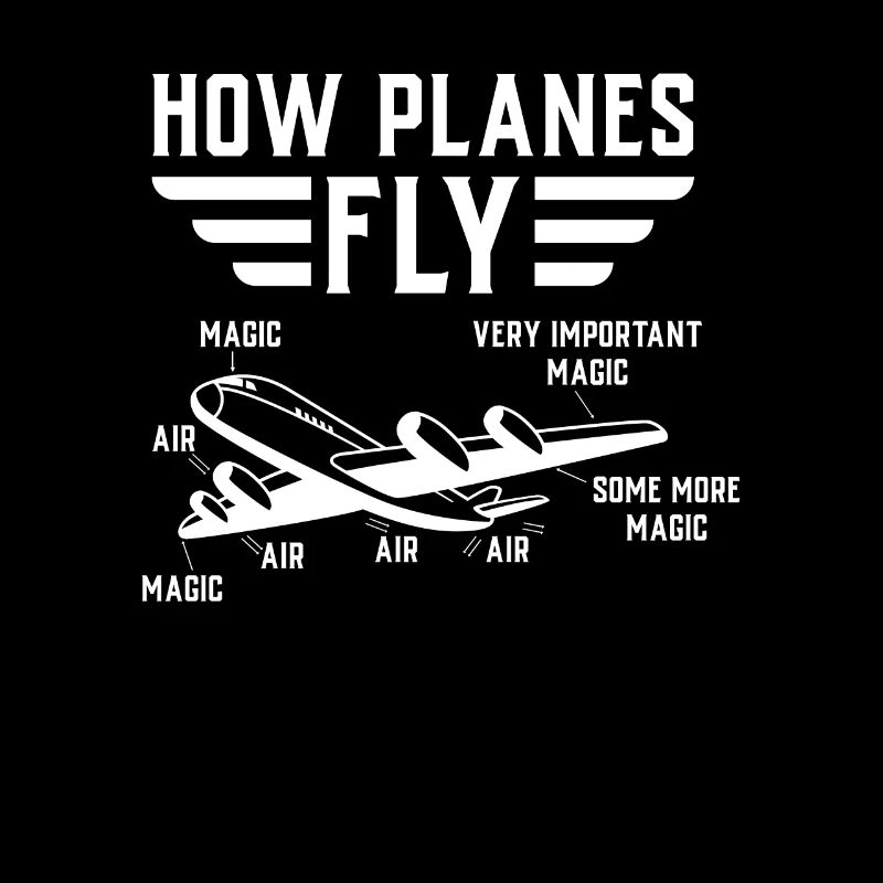 Comment les avions volent