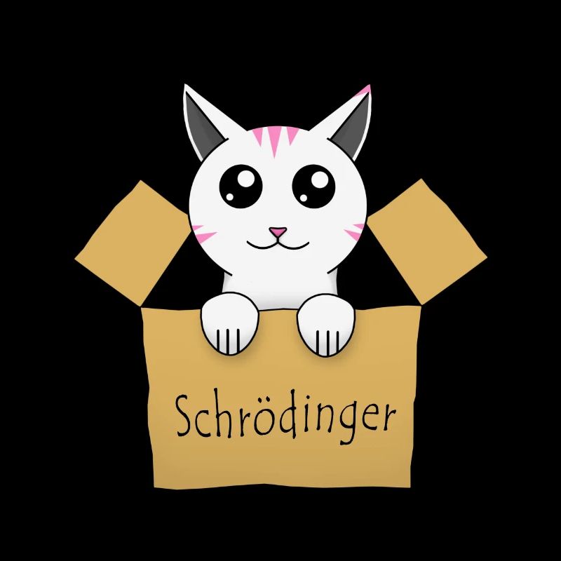 Le chat de Schrödinger dans une boîte