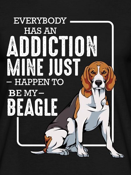 beagle