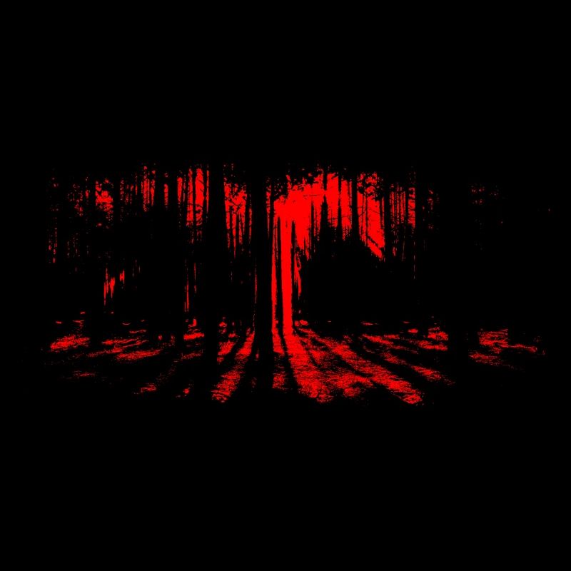 Dark horror forest