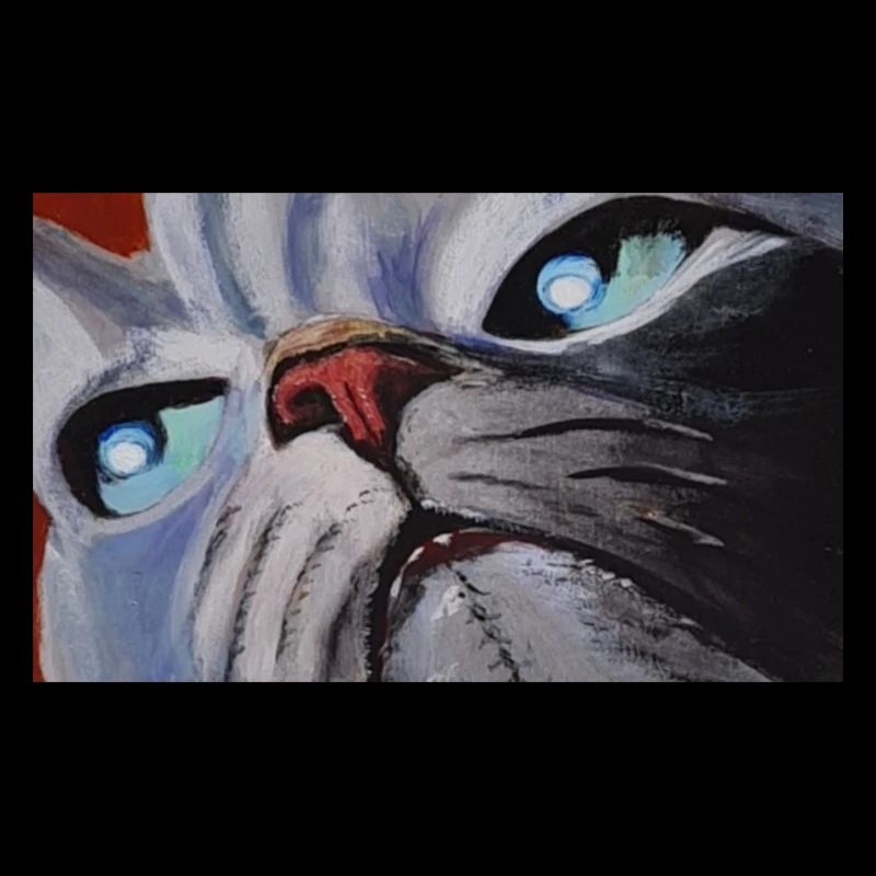 Cat Cartoon Comic