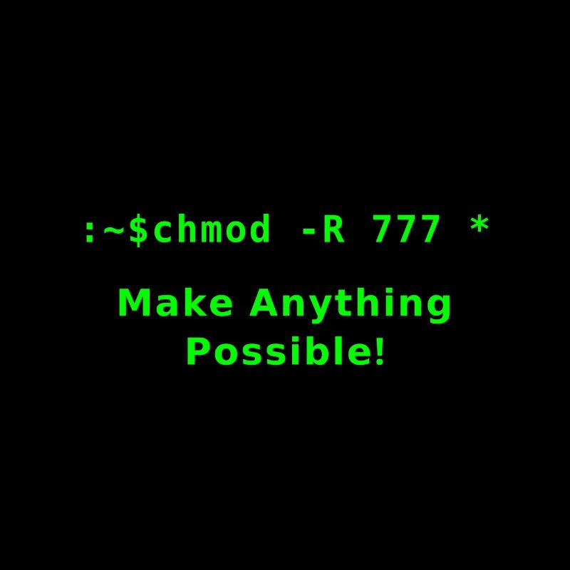 chmod -R 777 *, Linux Befehl, um alles zu tun!