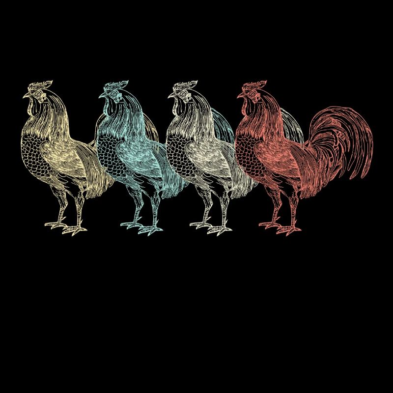 Chicken chickens