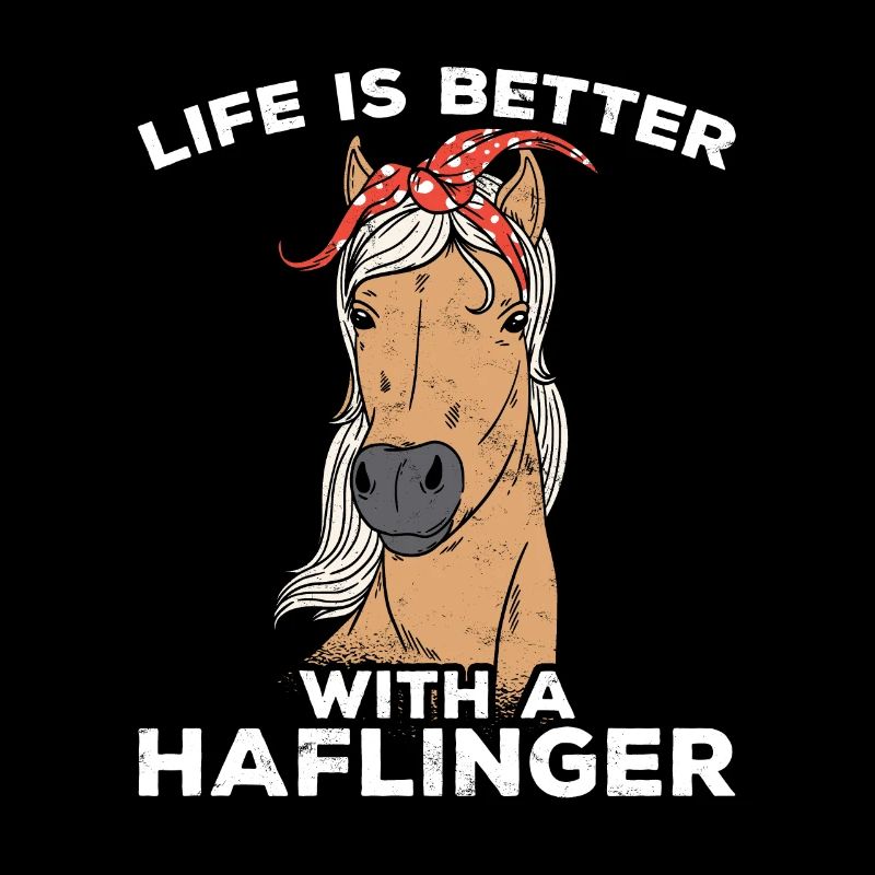 Cheval drôle Haflinger cheval galop anniversaire