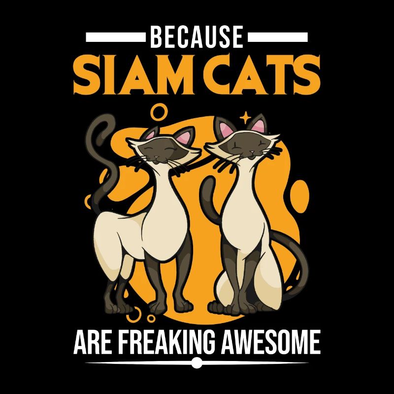 Because Siam Cats are freaking awesome Siamese cat