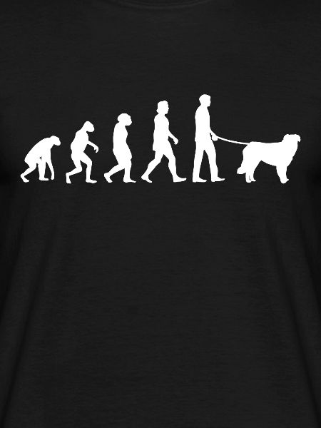 Kuvasz Evolution