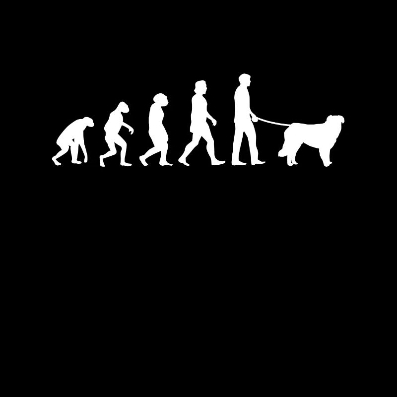 Évolution de Kuvasz