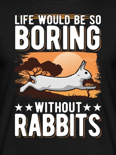 Rabbit Gift Rabbit Rabbit