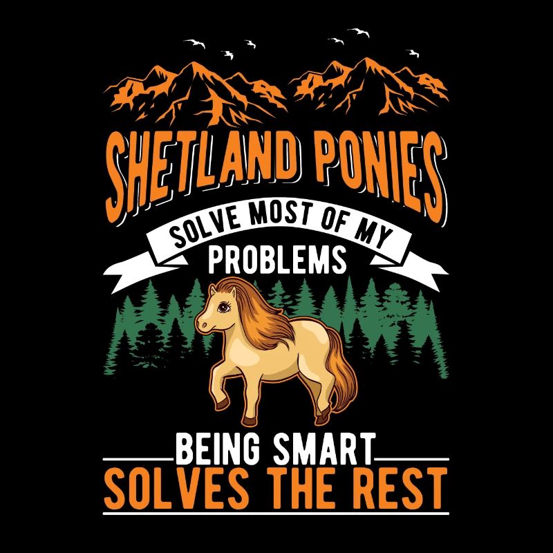 Shetland Pony Cadeau Shetty