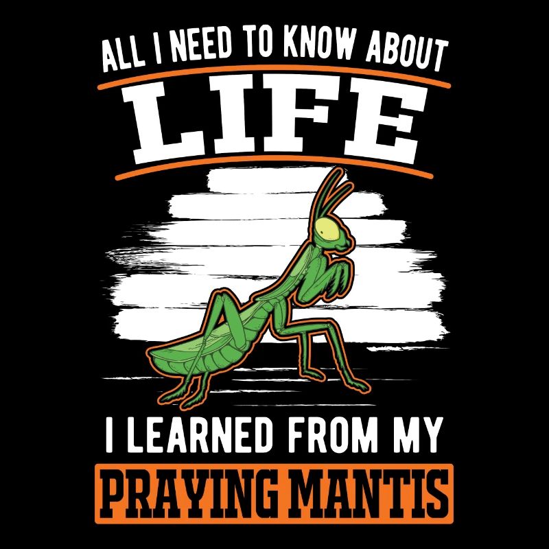 Gottesanbeterin Mantis Fangschrecke