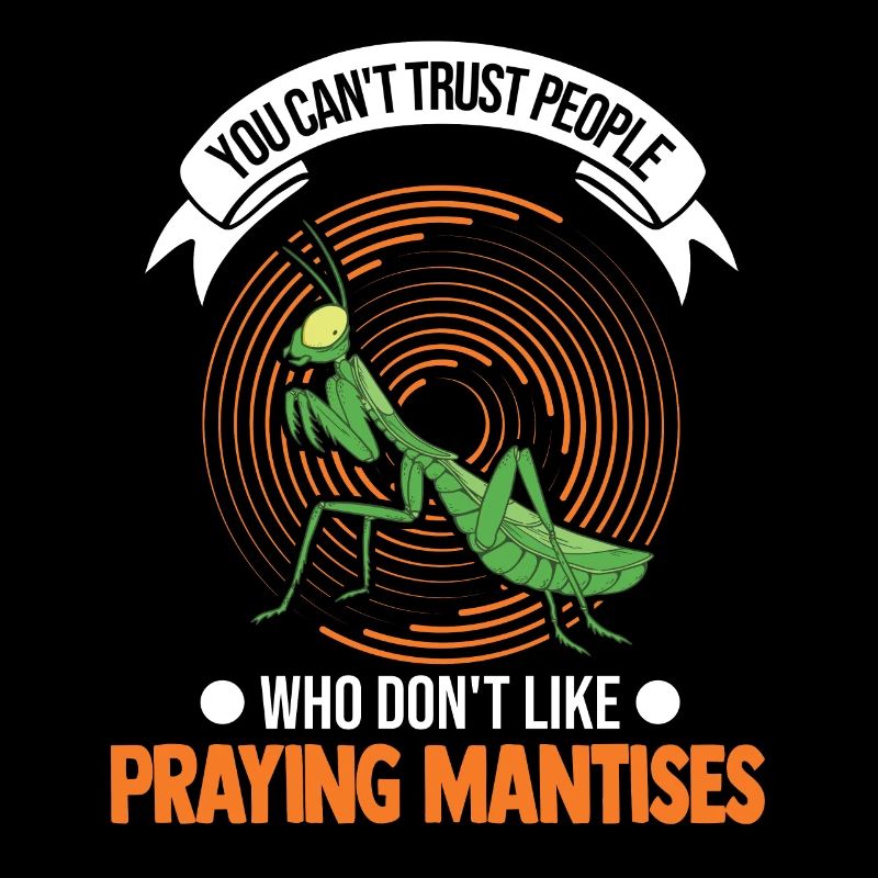 Praying Mantis Gift Mantis Mantis Mantis Fangschrecke
