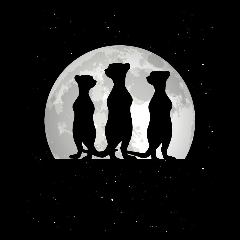 Suricate Lune Suricate