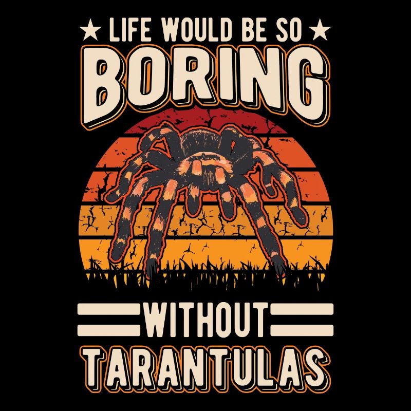 Tarantula Spider Tarantula