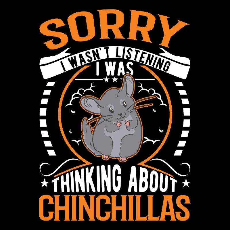 Chinchilla Gift Woolly Short-tailed Chinchilla