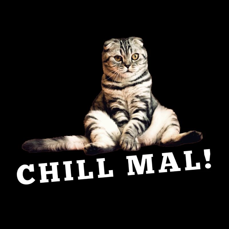Cat Chill times