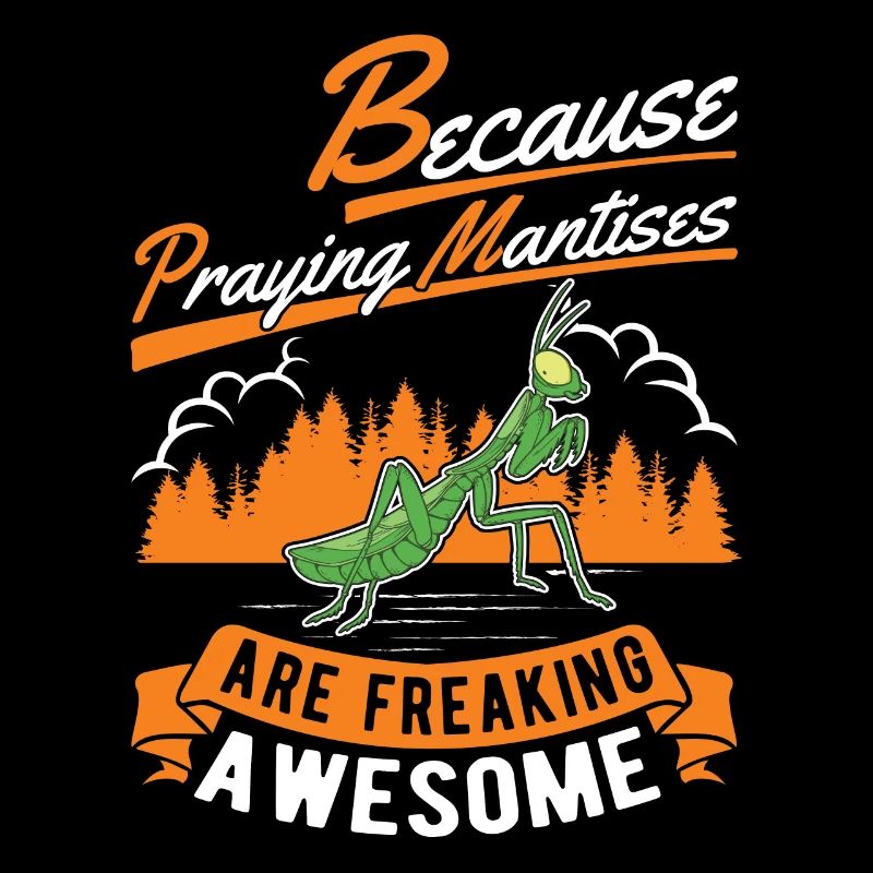 Because Praying Mantises are freaking awesome