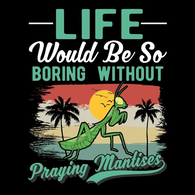 Praying Mantis Gift Mantis Mantis Mantis Mantis