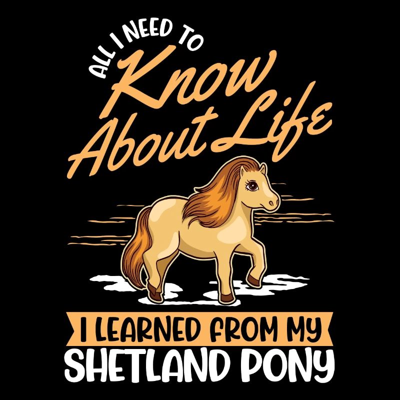Shetland pony Shetland pony Shetty
