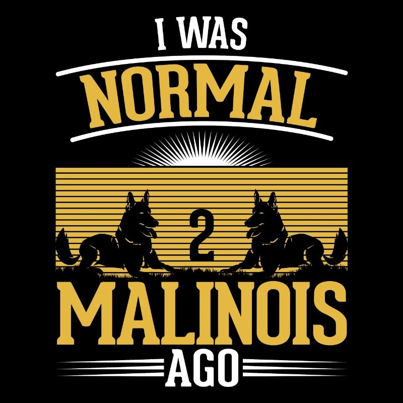 J’étais normal il y a 2 malinois Berger Belge