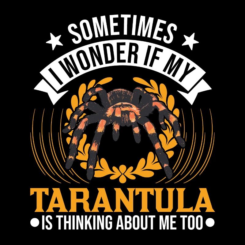 Tarentule Araignée Tarentule