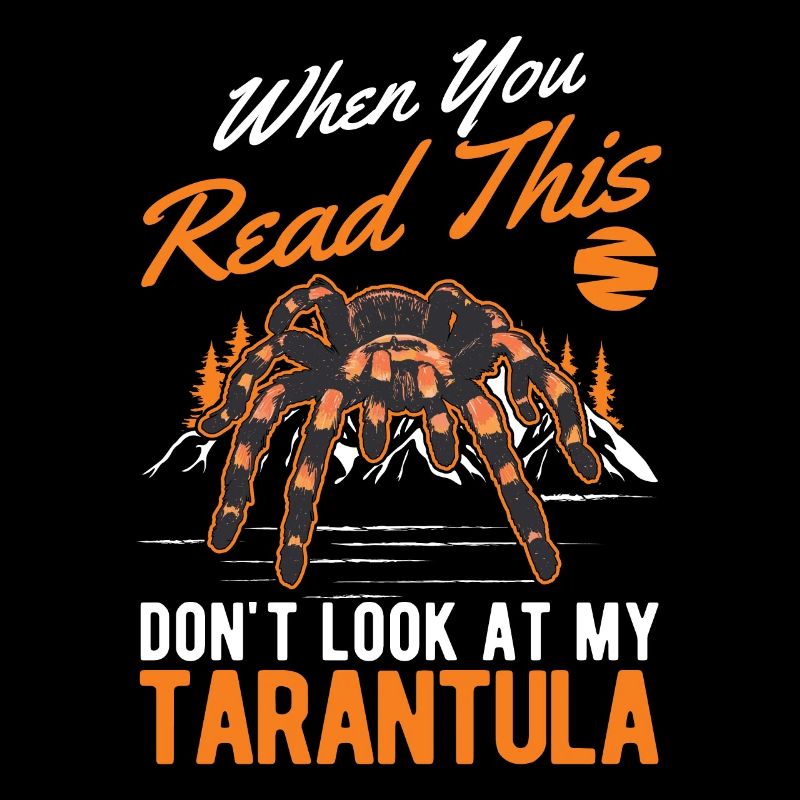 Tarantula Gift Spider Tarantula