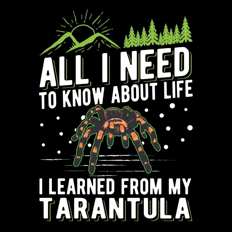 Tarentule Araignée Tarentule